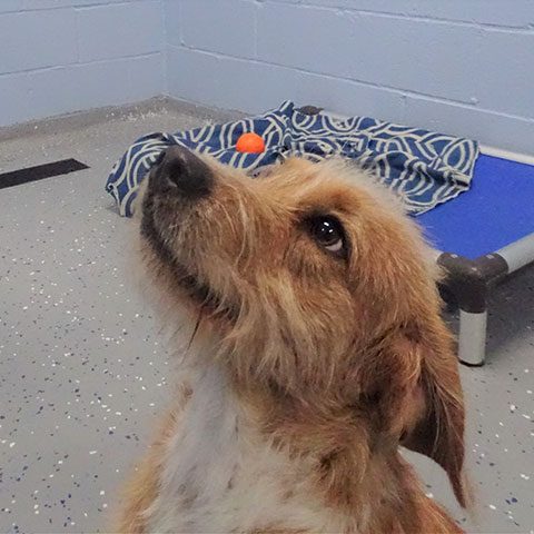 Einstein