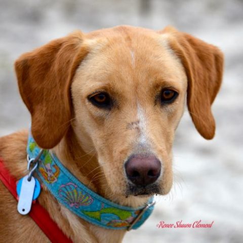 Oakley