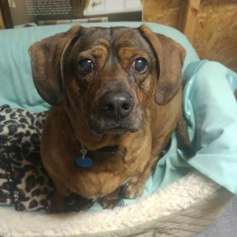 Roscoe