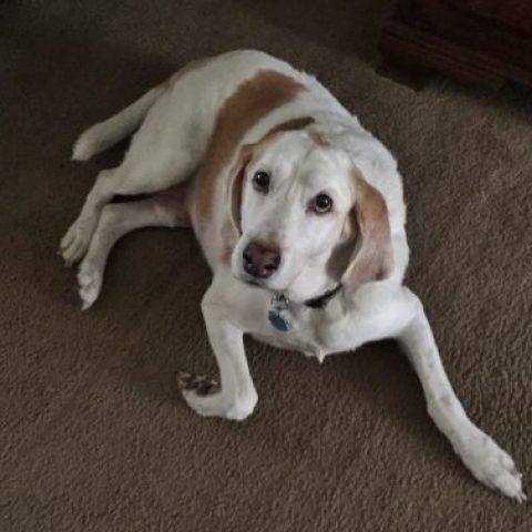 Sammy