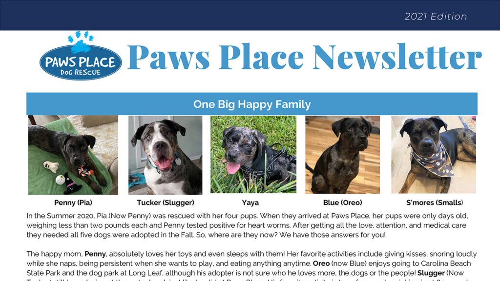2021 Year-End Newsletter