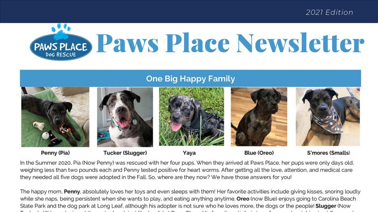 2021 Year-End Newsletter