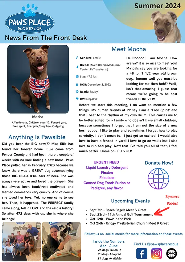 Summer 2024 Quarterly Newsletter