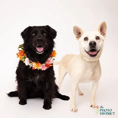 Sophie & Zoey