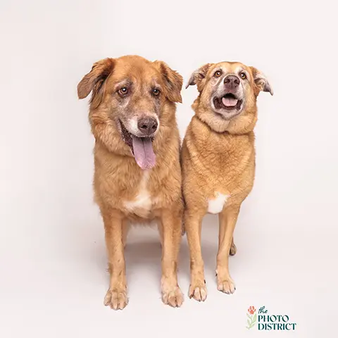 Piper & Sasha