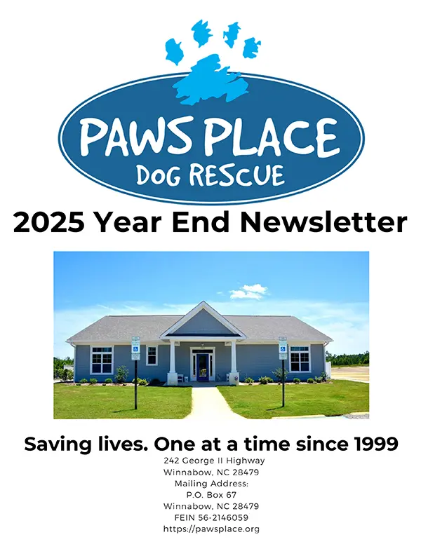 2025 Year End Newsletter