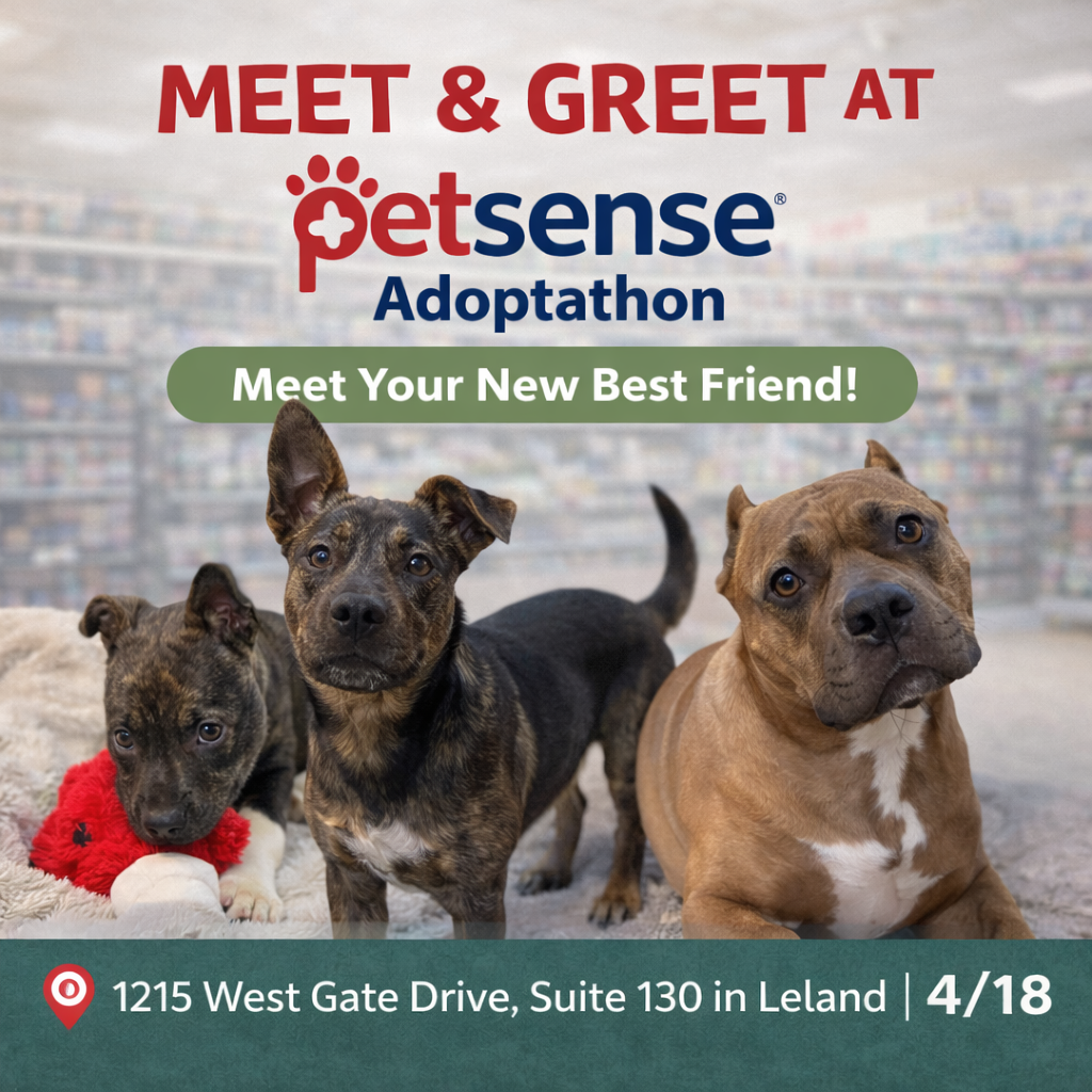 Petsense